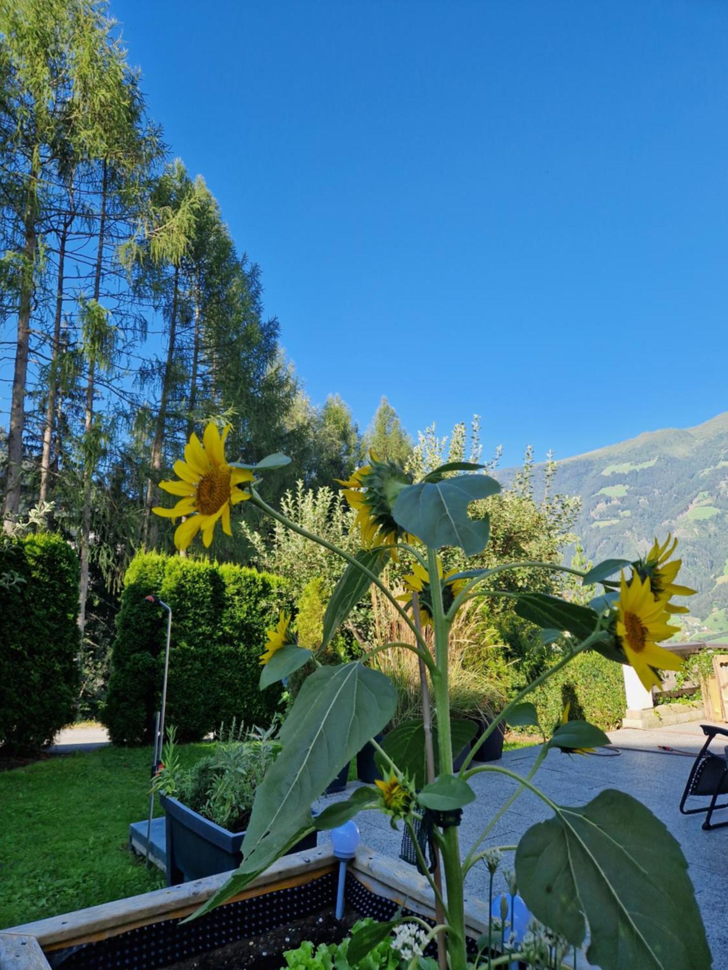 Ferienwohnung Haus Roland Zell am Ziller Exterior foto